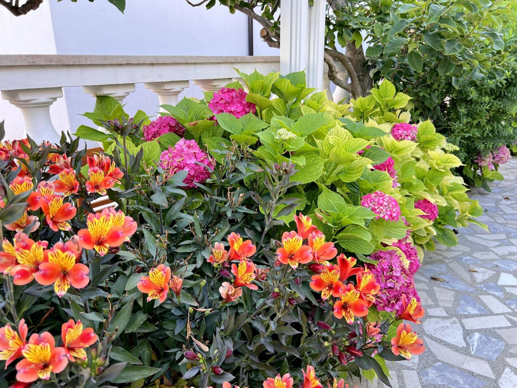 Bed & Breakfast Rab Palit Buitenkant foto